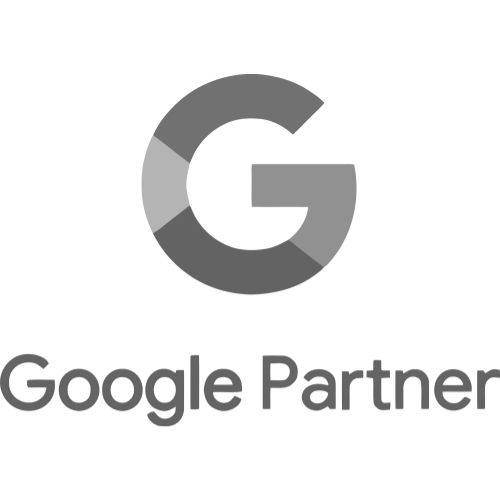 Google Partner Gris (1)  - OnClic