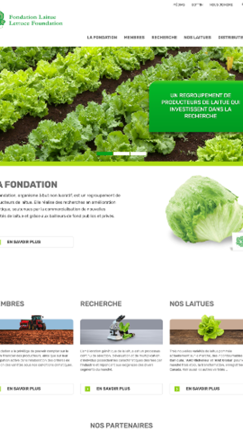 Image - Fondation Laitue