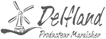 Logo Delfland Gris  - OnClic