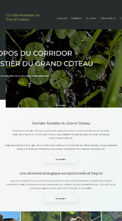 Image - Corridor Forestier