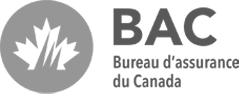Logo Bac Gris  - OnClic